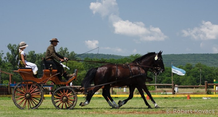 Herghelia%20Beclean_0154%20(7)