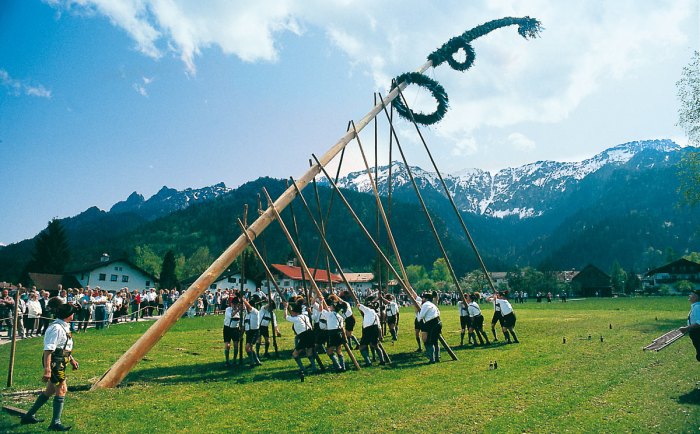 maibaum-aufstellen-2