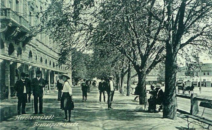 945707_522067594514913_1061401528_n