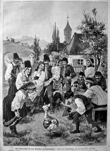 1009851_207152882780009_817676464_n