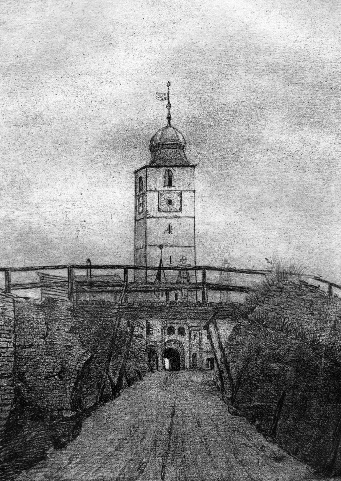 1305252_540578045997201_330440855_n