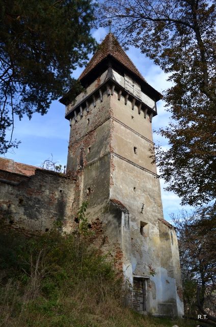 1394240_526695987407762_650174783_n