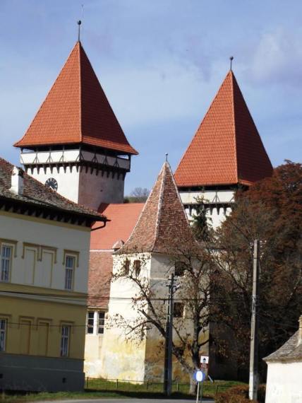 1234619_689566361054368_1625762261_n