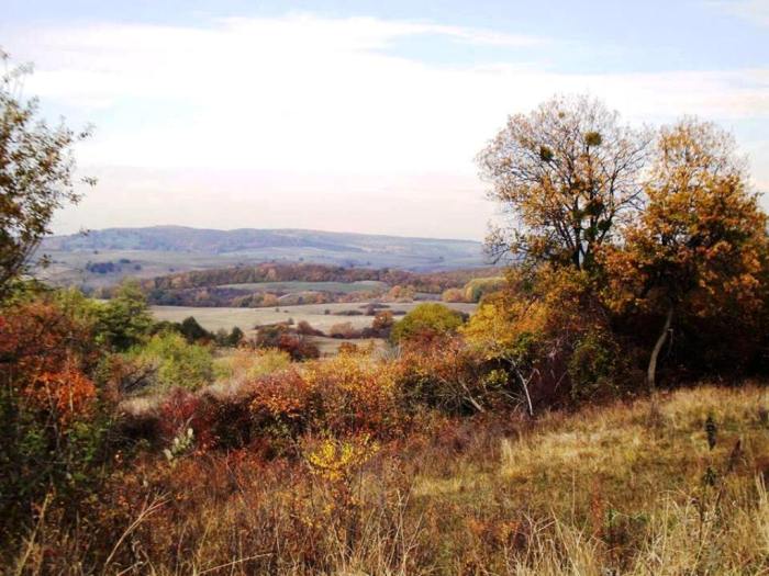 1382958_689549424389395_1925970125_n