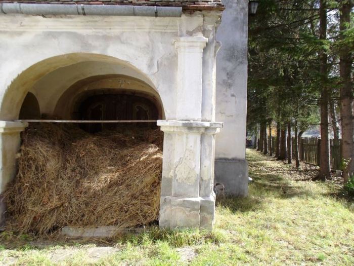 1385556_689554877722183_2107402247_n