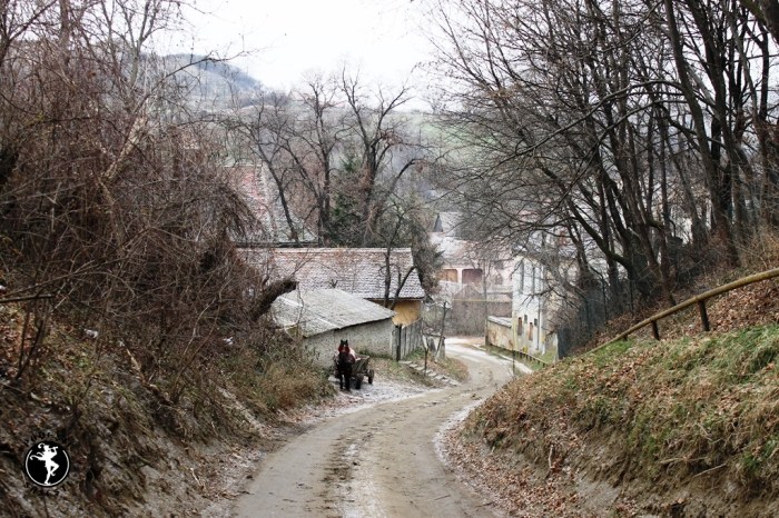 Povești săsești0110