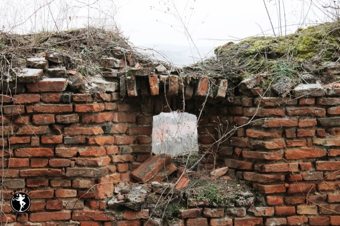 Povești săsești0111.JPG