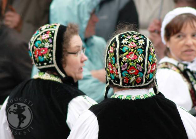 1473025_230992933729337_392613570_n