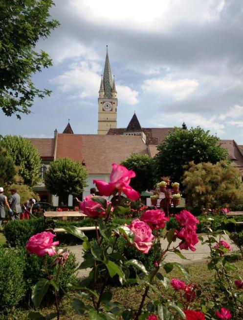 1079209_769641269753915_238209994_n