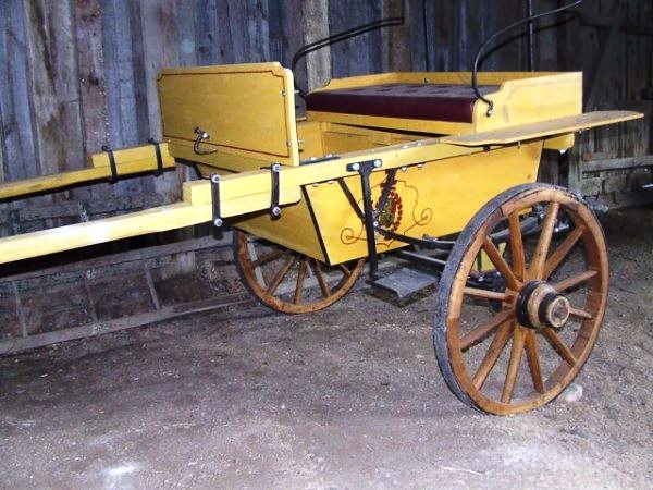 10955561_1398511357120948_8158191078282775948_n