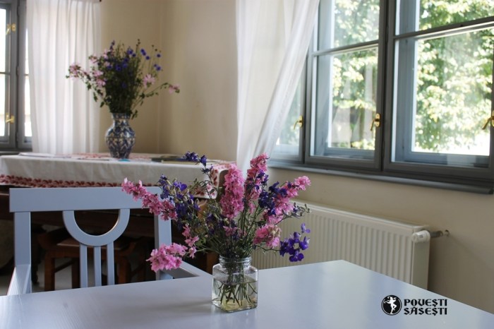 Povesti sasesti Watermark - 0869