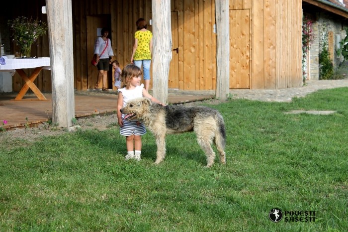 Povesti sasesti Watermark - 0873