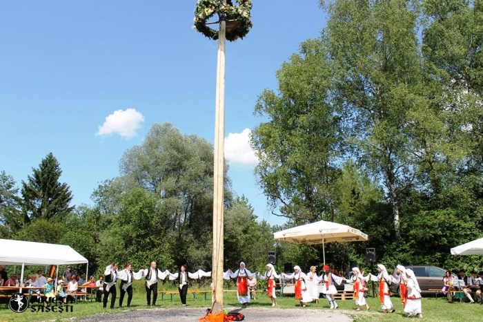 Povesti sasesti Watermark - 0931