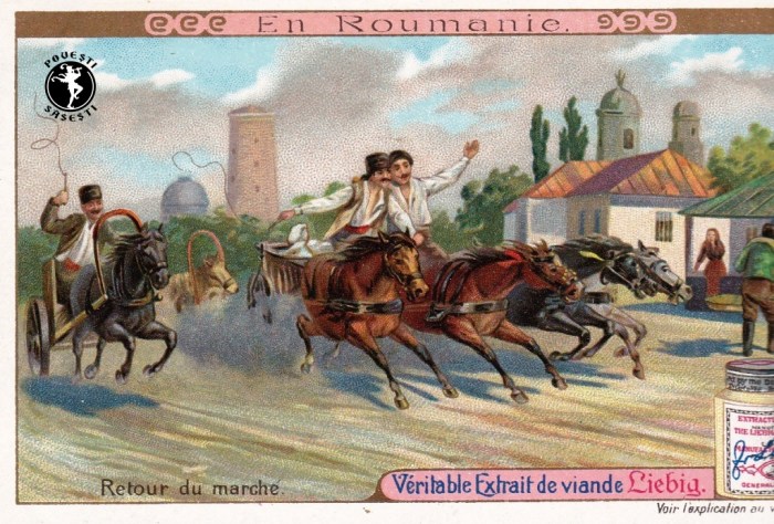 Povești săsești0019