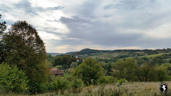 Povești săsești0046