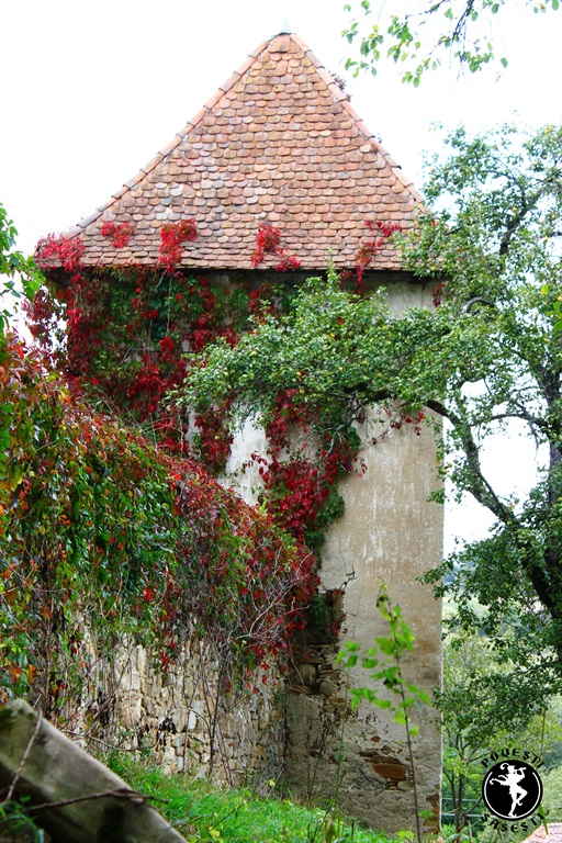 Povești săsești0057