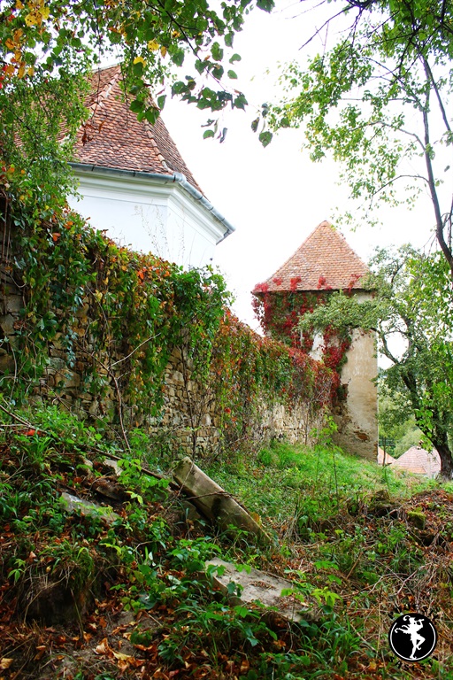 Povești săsești0058