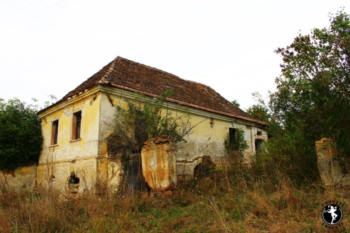 Povești săsești0063