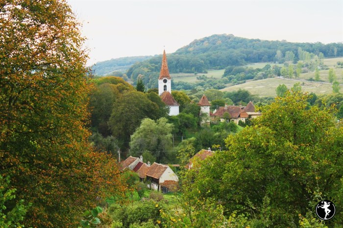 Povești săsești0069