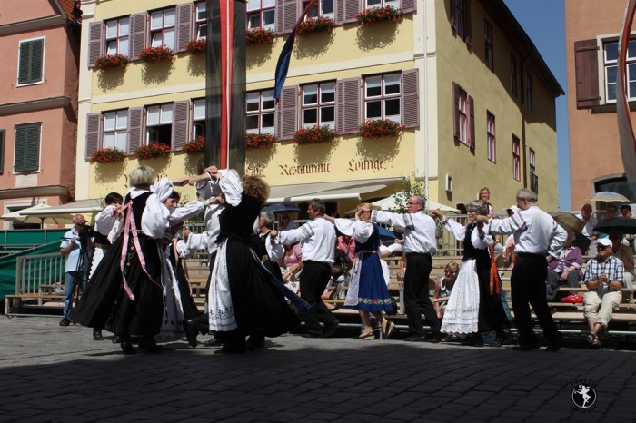 Povești săsești0123