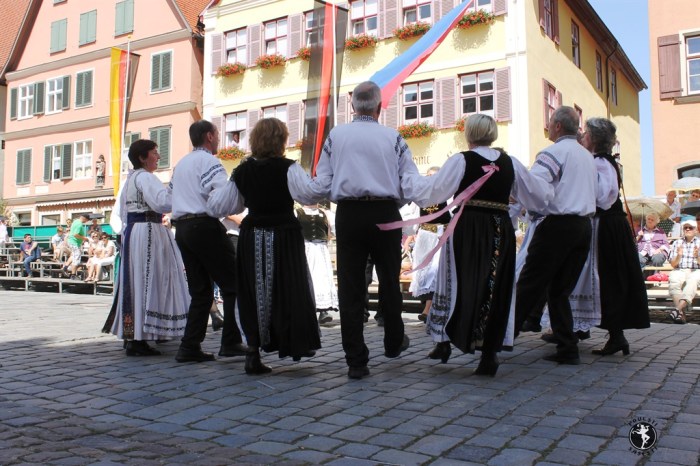 Povești săsești0125